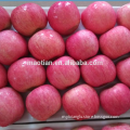 Apple Fuji Rosy blush for Indonesia